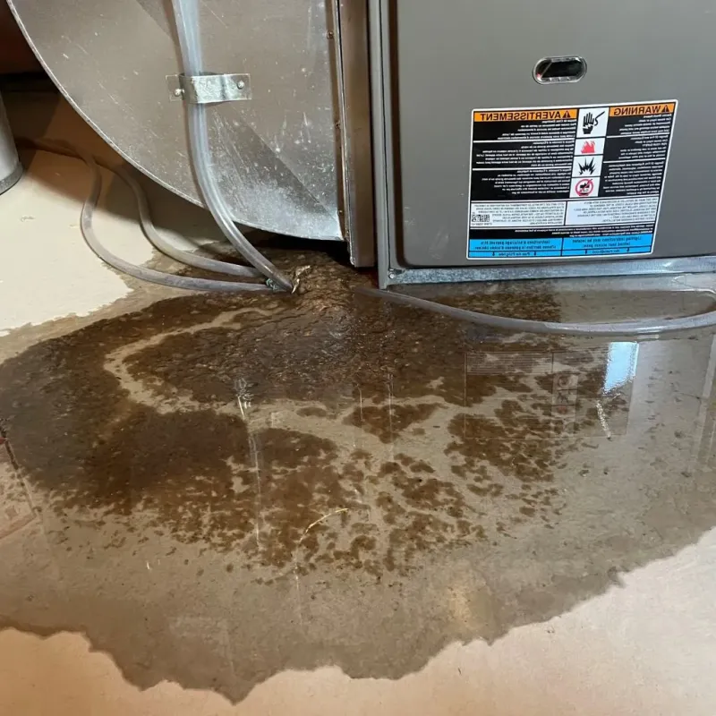 Pipe Burst and Leak Restoration in Windsor, ME